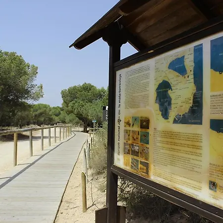 Maximo La Mata Appartamento La Mata (Torrevieja)